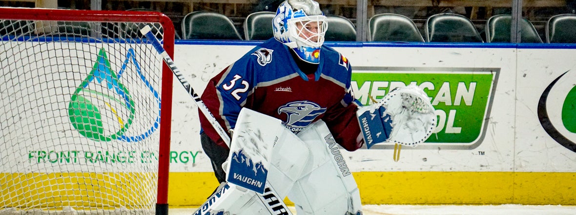 Avalanche Recall Hunter Miska