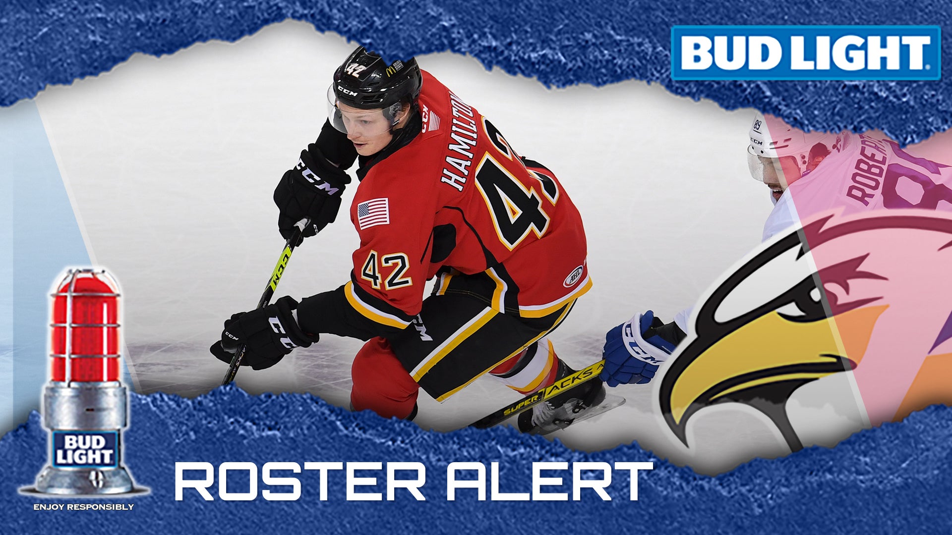 Colorado Adds Defenseman Rob Hamilton Colorado Eagles