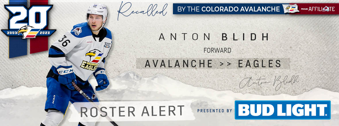 Forward Anton Blidh Recalled by Colorado Avalanche