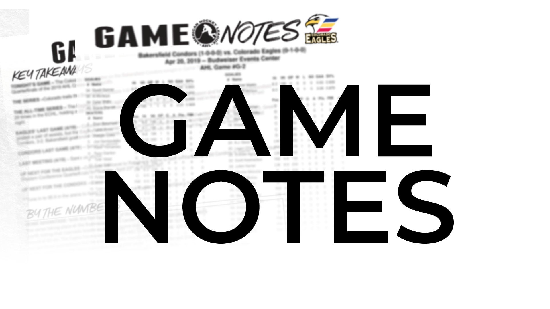 Roster &amp; Game Notes - Printable 2-Pager