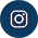 Insta-Icon-Circle-2955-35px.png
